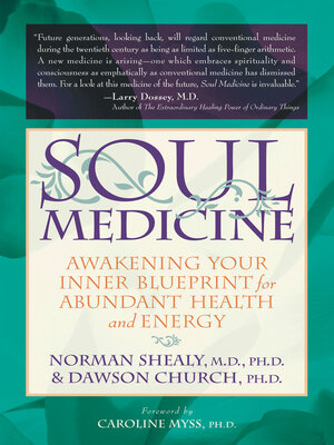 cover image of Soul Medicine